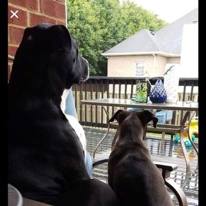 Meet your Posher, Sandra